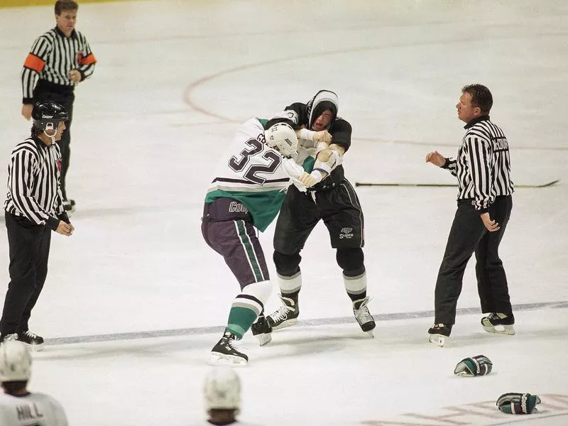 Marty McSorley and Stu Grimson fighting