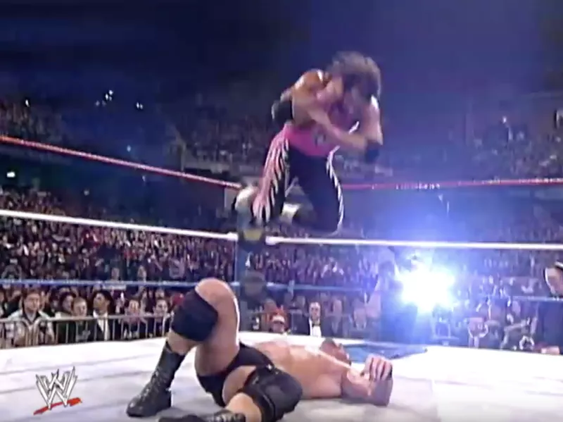 Bret Hart and Steve Austin