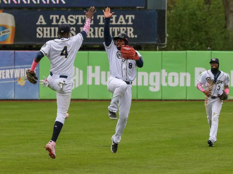 Kane County Cougars