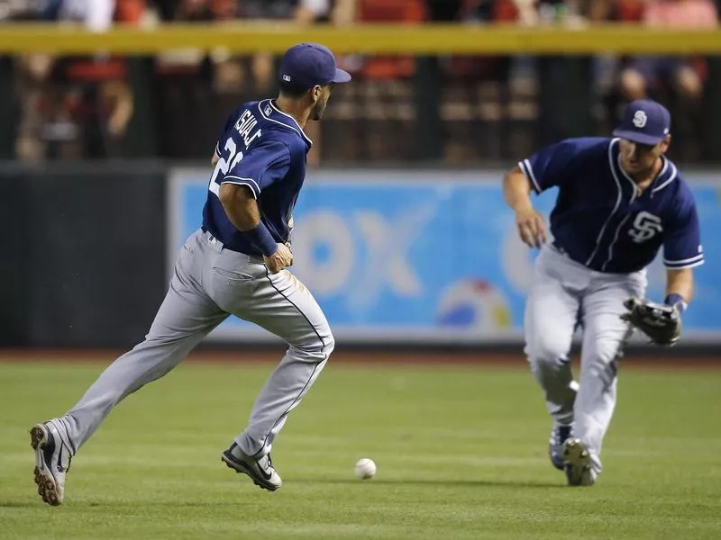 Baseball Words: Dying quail