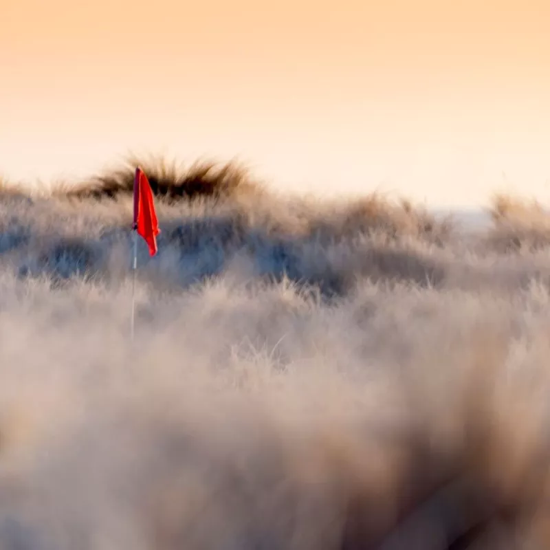 Royal Dornoch