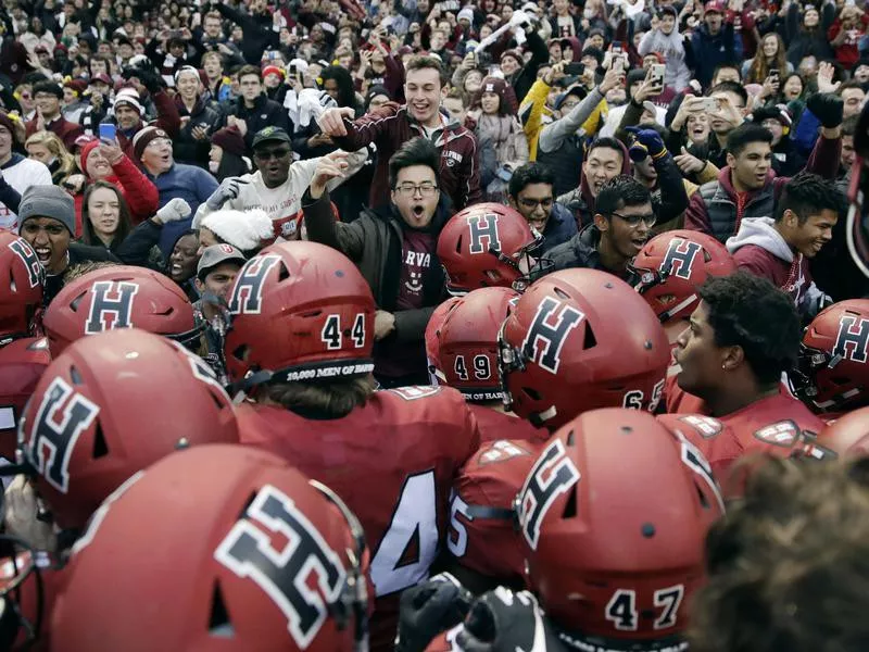 Harvard University