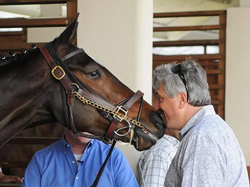 Steve Asmussen