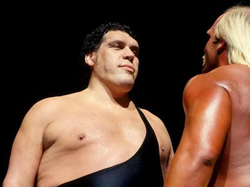 Andre the Giant