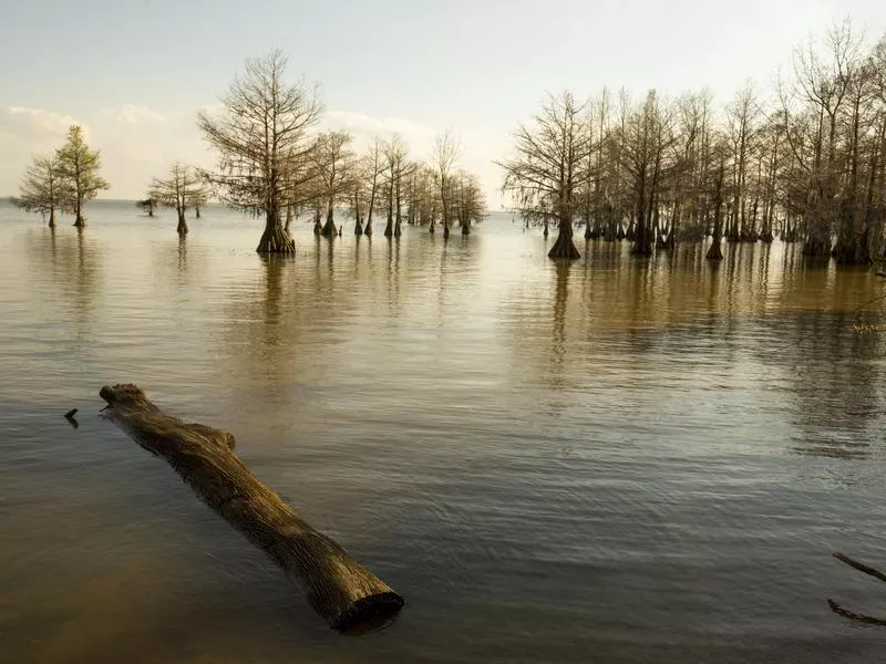 South Carolina