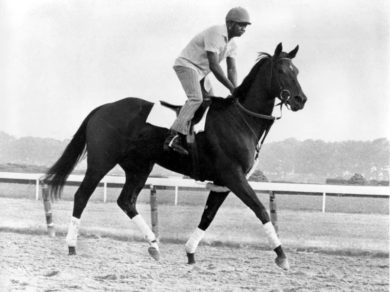 Ruffian