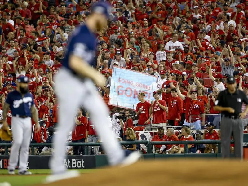 Washington Nationals fans