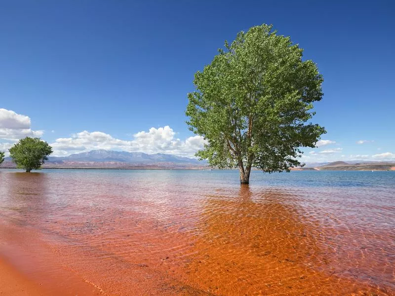 Sand Hollow Reservoir