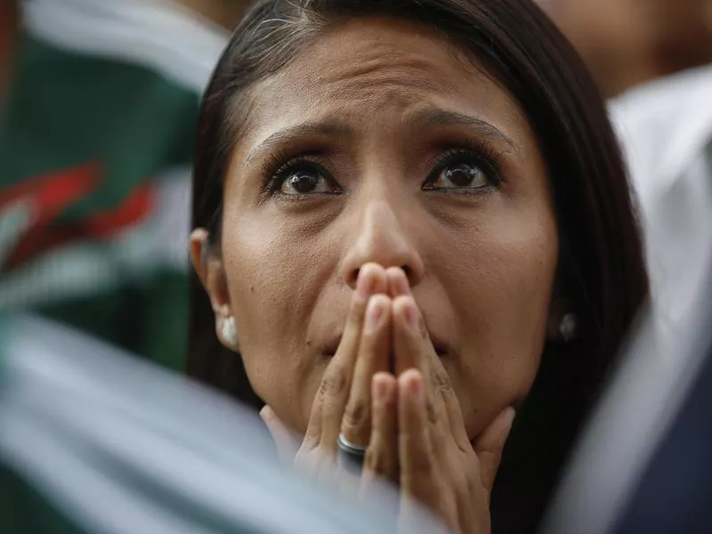 Mexico soccer fan