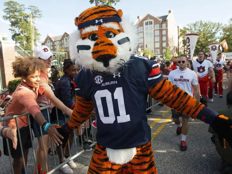 Aubie the Auburn Tiger