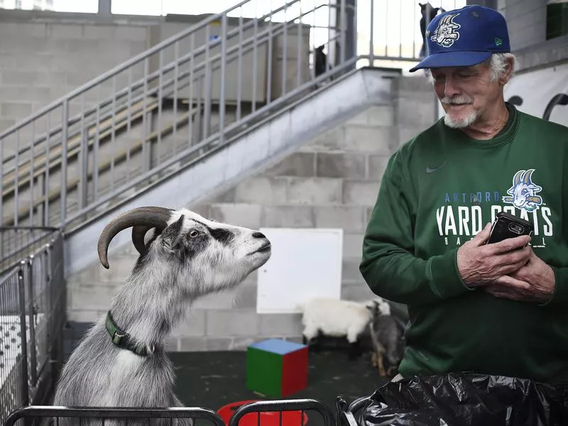 Hartford Yard Goats