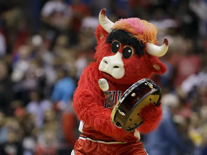 Benny the Bull