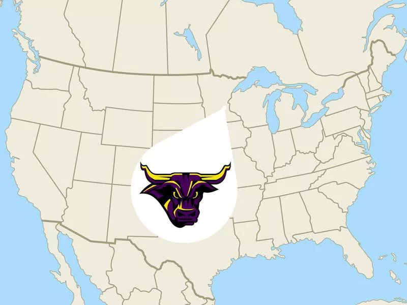 Minnesota State University