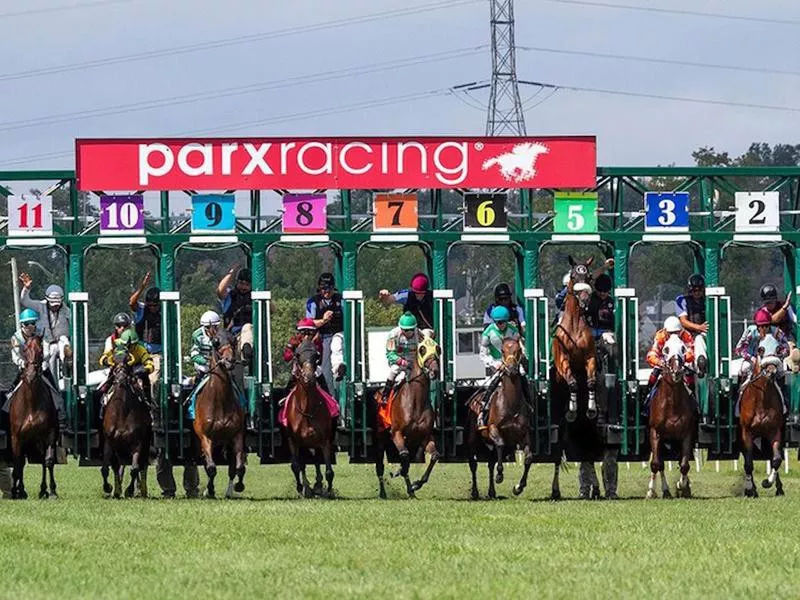 Parx