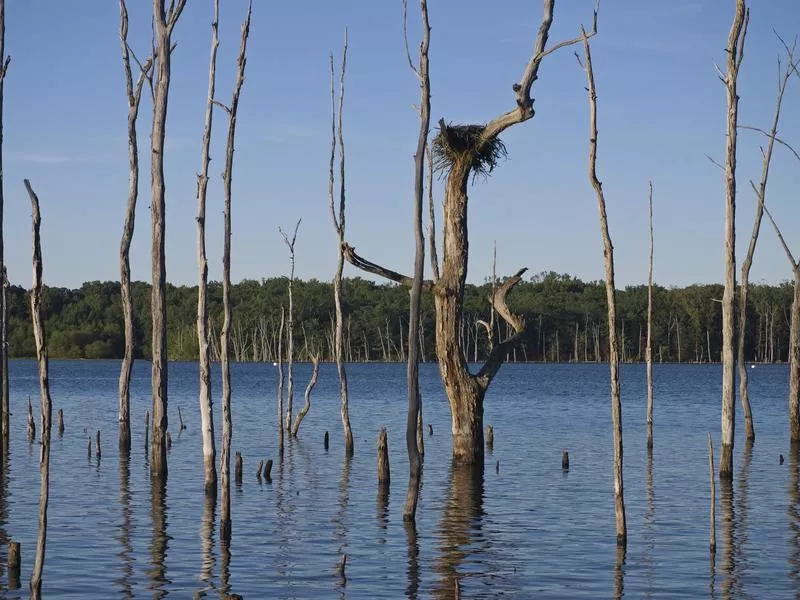 Manasquan Reservoir