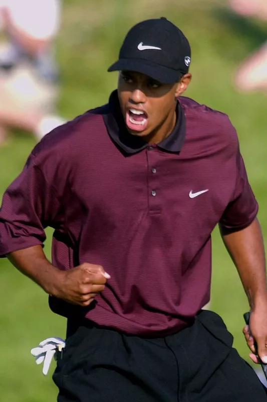 Tiger Woods