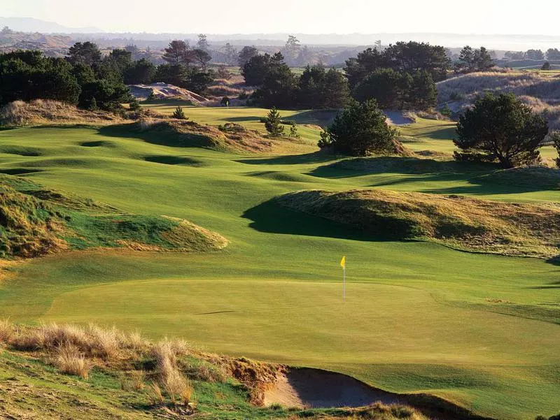 Pacific Dunes