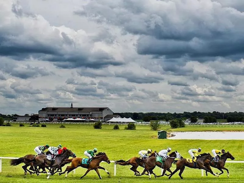 Kentucky Downs