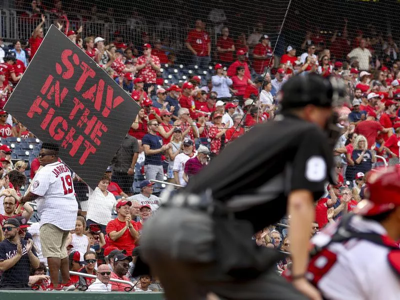 Washington Nationals fans