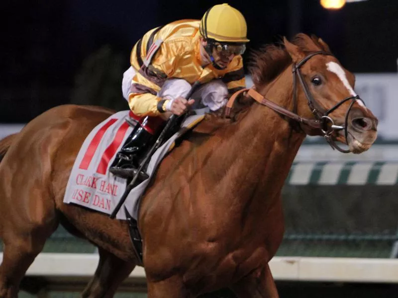 Wise Dan