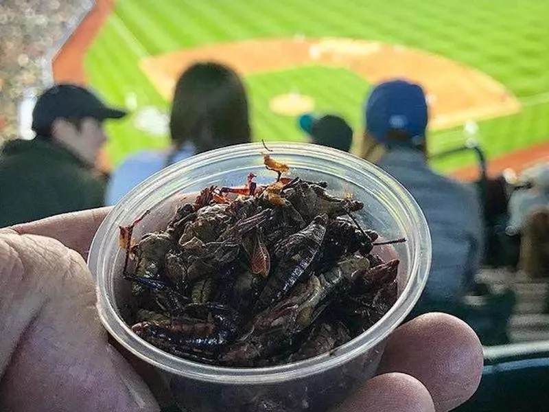 Toasted Grasshoppers