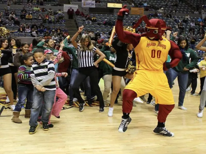 Fort Wayne Mad Ants