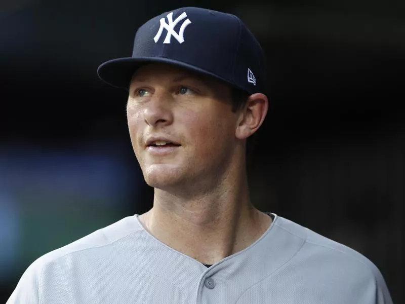 New York Yankees infielder DJ LeMahieu