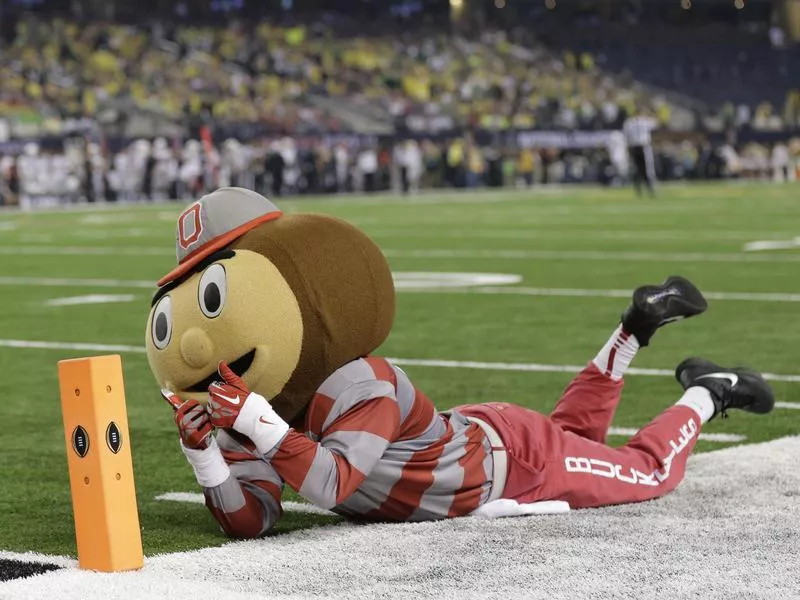 Brutus Buckeye