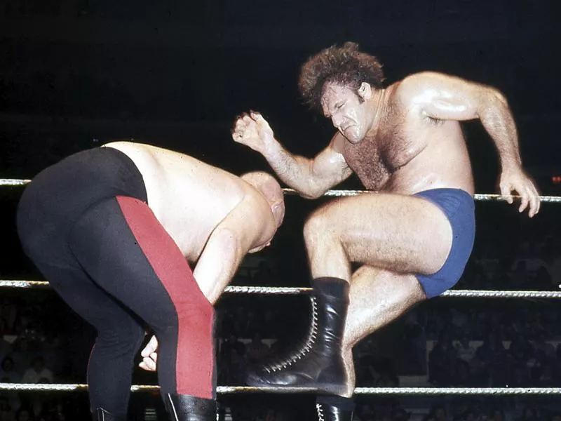 Bruno Sammartino