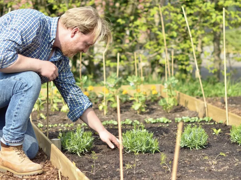 Gardening