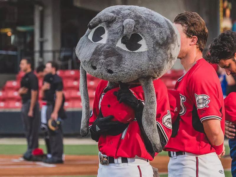 Carolina Mudcats