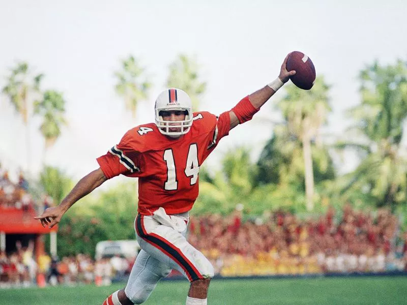 Vinny Testaverde