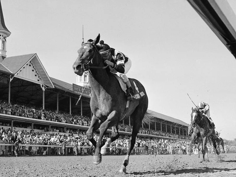 Spectacular Bid