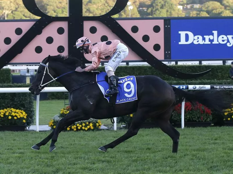 Black Caviar