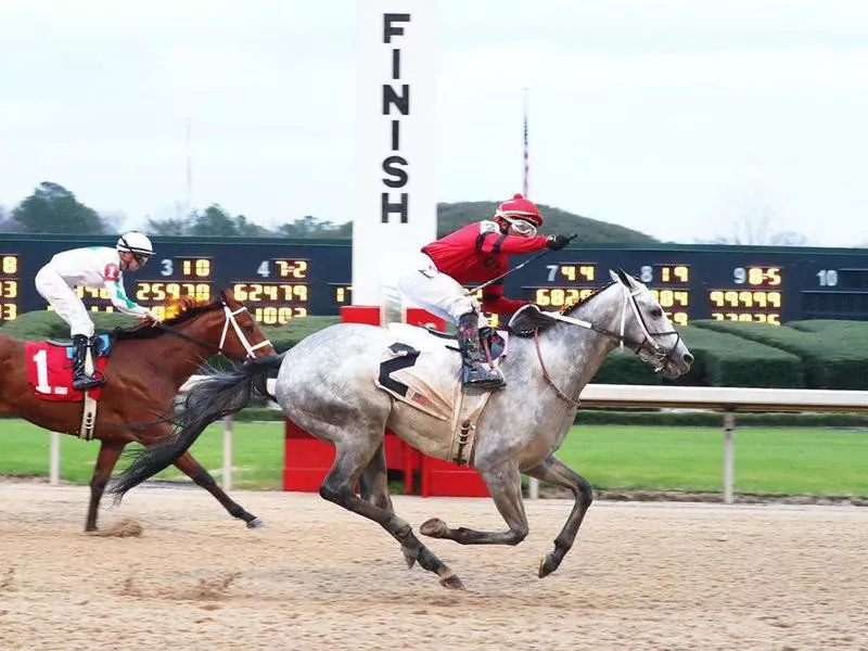 Oaklawn Park