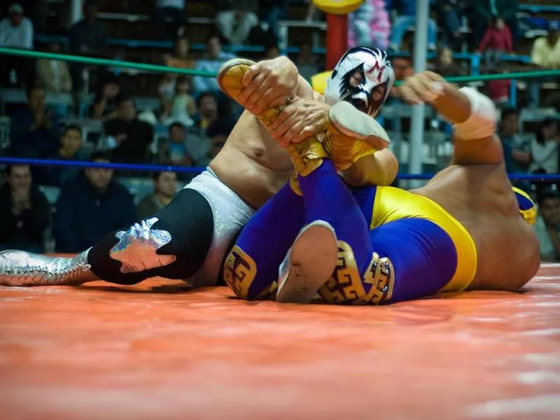 Mil Mascaras