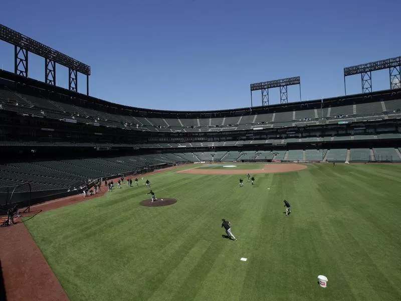 Oracle Park