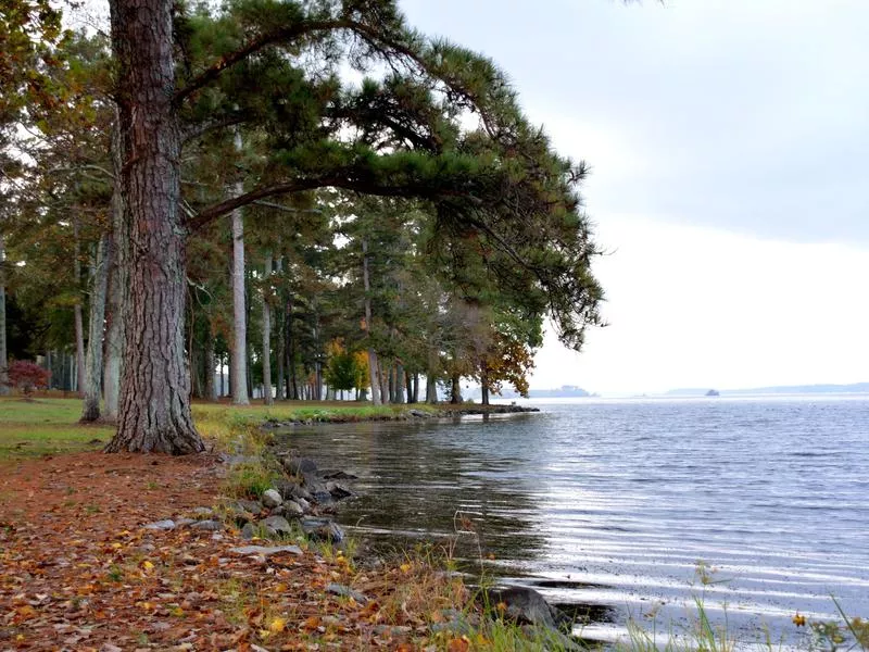 Lake Guntersville