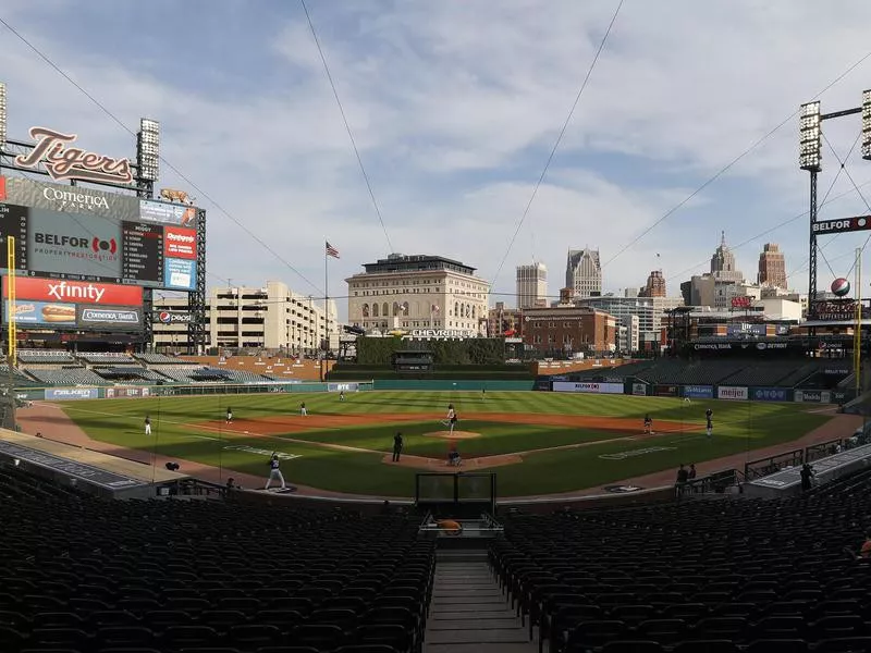 Comerica Park