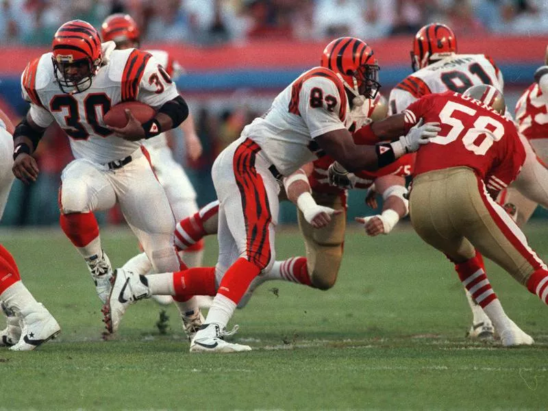 Rodney Holman with the Bengals