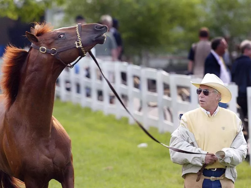 D. Wayne Lukas