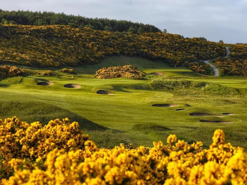 Royal Dornoch