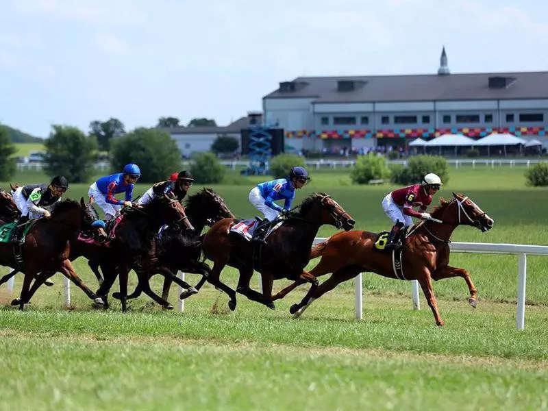 Kentucky Downs