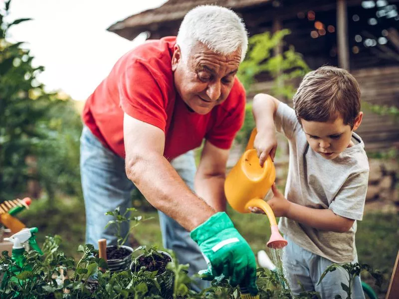 Gardening